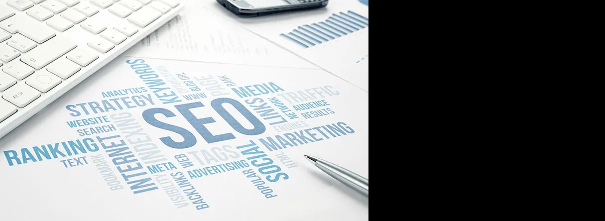 Search Engine Optimization SEO service Gaylord MI